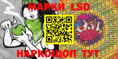шишки Кимры