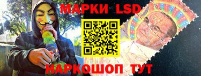 шишки Кимры