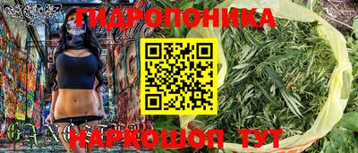 шишки Кимры