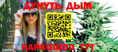 шишки Кимры